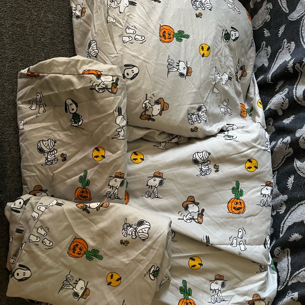 Peanuts Halloween Bedding Set - Gray